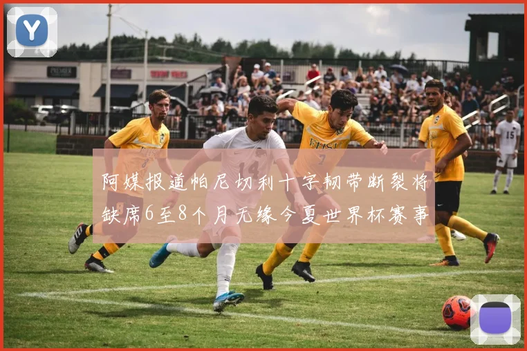 阿媒报道帕尼切利十字韧带断裂将缺席6至8个月无缘今夏世界杯赛事